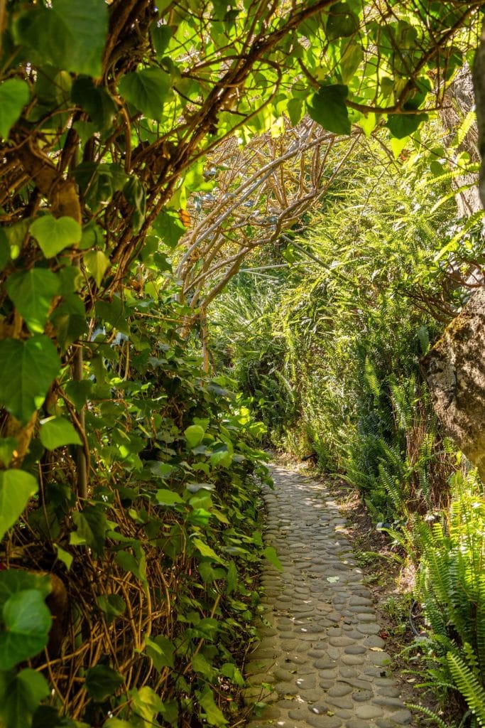 Casas da Ribeira Quente, fotografia 185